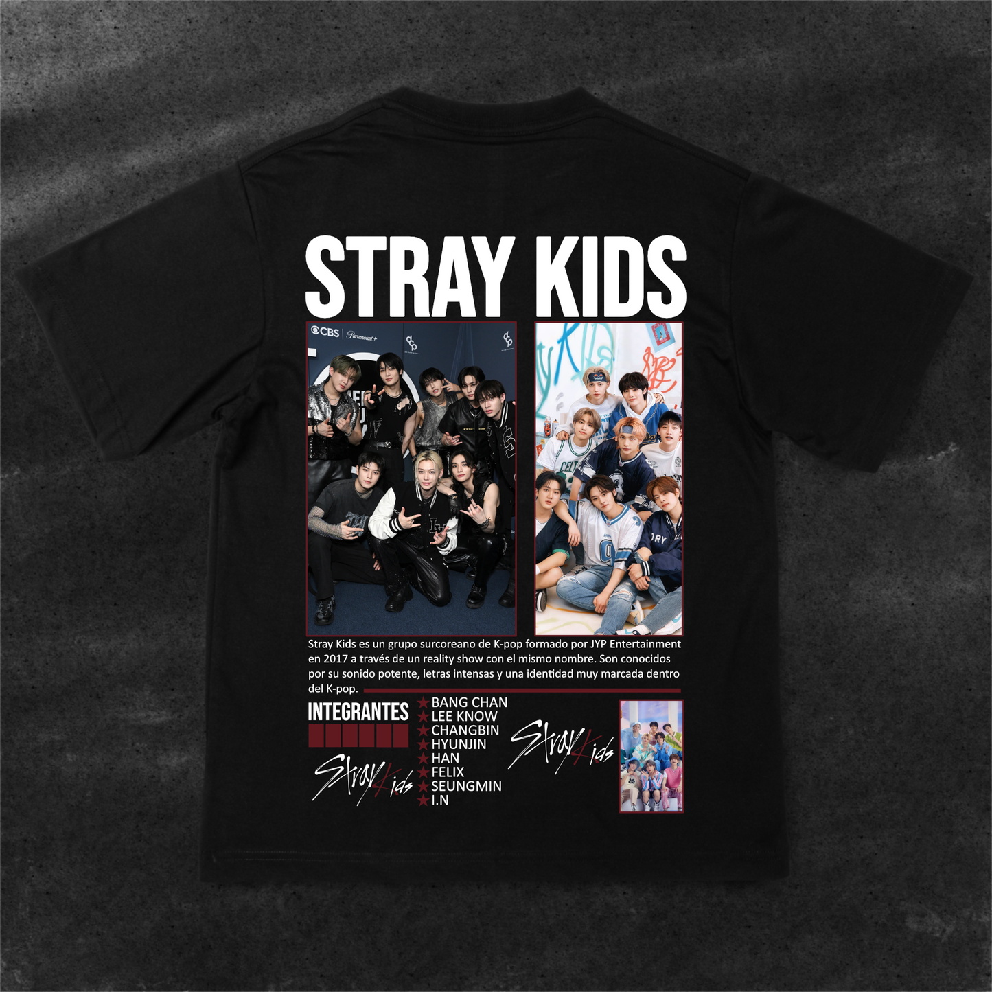 Camiseta Stray Kids