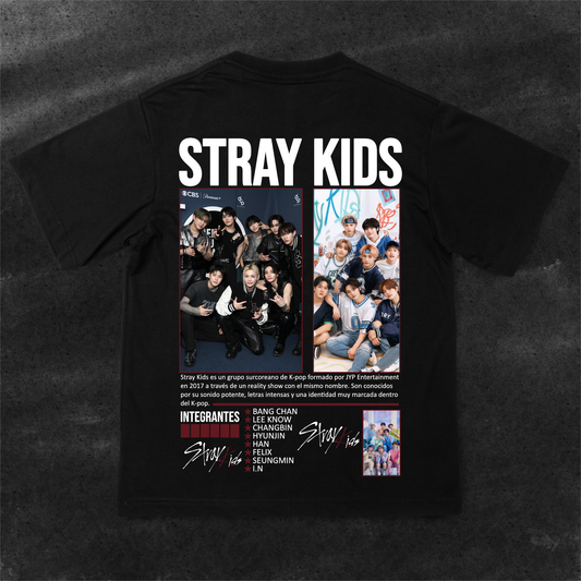 Camiseta Stray Kids